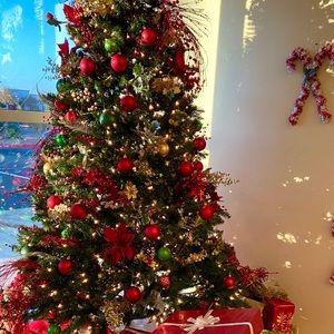 Meet your Posher, Anum